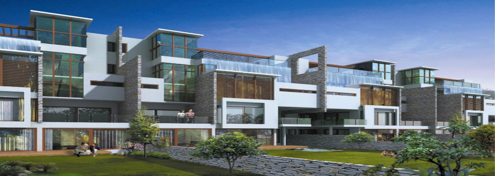 Embassy Grove