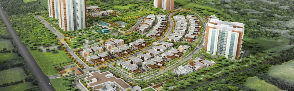 Prestige White Meadows