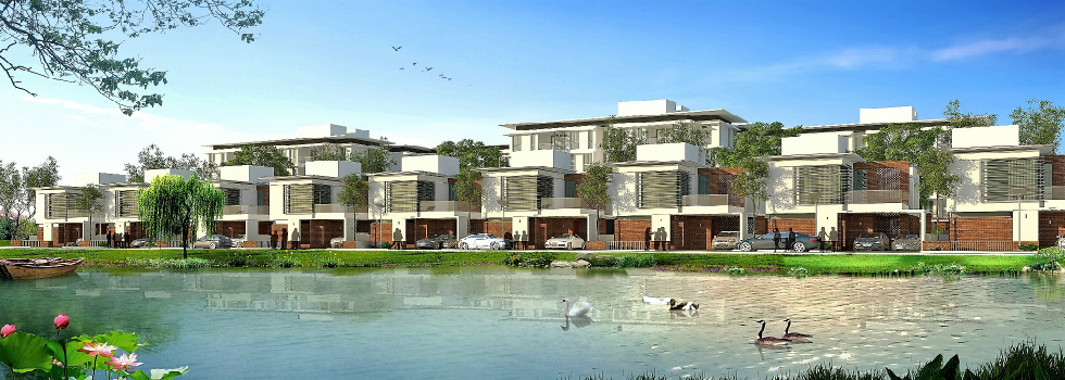 The Lake View